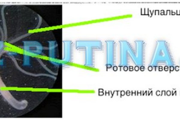 Кракен официальное зеркало