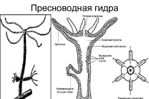 Kraken сайт покупок