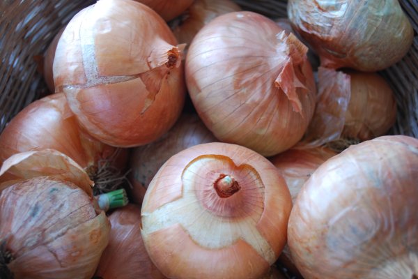 Kraken darknet onion